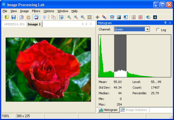 Image Processing Lab