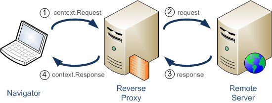 Structure of Reverse Proxy