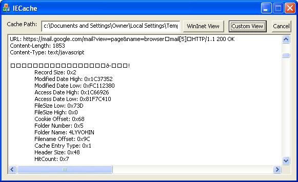 Sample Image - showing custom IE Cache View