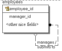 employee entity with manger_id field to indicate manager of current employee