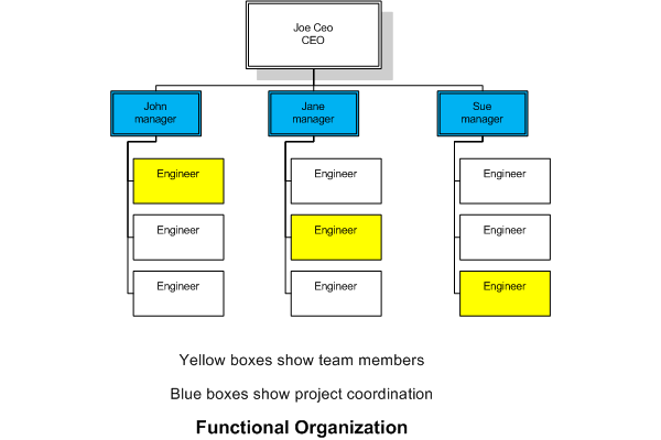Functional Organizational Structure